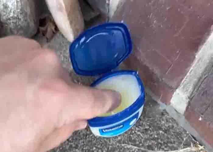 Smearing Vaseline to prevent ants entering your home