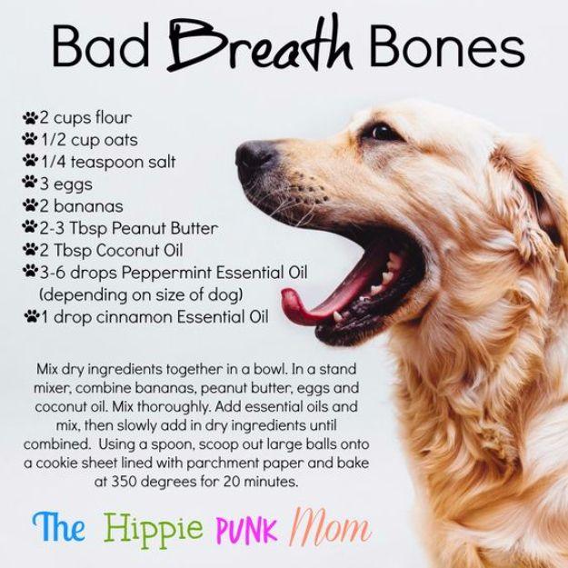 DIY Dog Grooming Tutorials - Bad Breath Care - Cool and Easy Ways to Wash, Groom and Style Your Pets Fur - Trim Toenails, Brush Teeth, Bath, Trim and Clip Dogs Fur - Hair - Remove