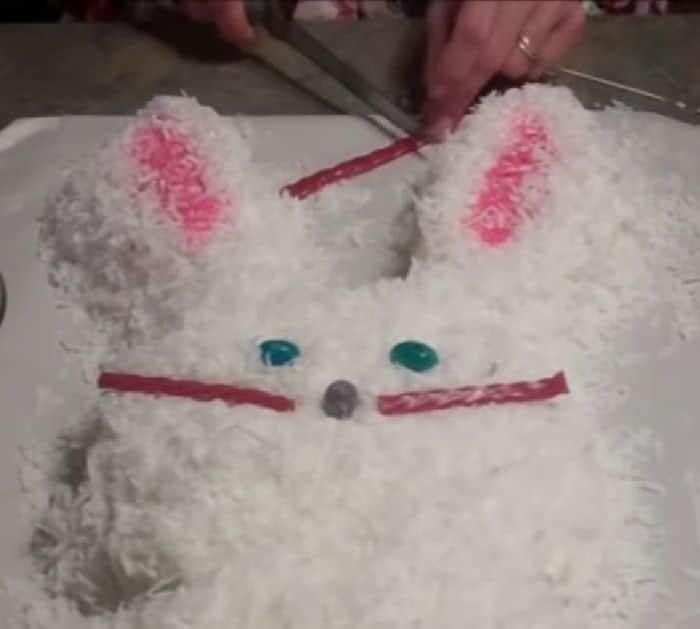 Super Easy Whimsical Bunny Cake Recipe