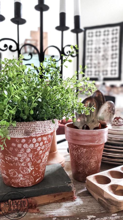 Two small terracotta pots stamped with soft white polka dots and holding green plants on a stack of old books