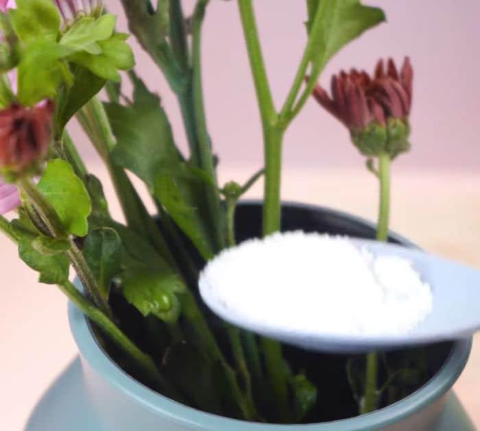 How to Make Preserve Flowers Using Warm Water