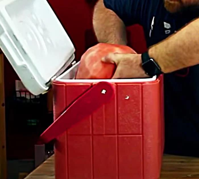 Soak a peeled watermelon in brine before smoking it