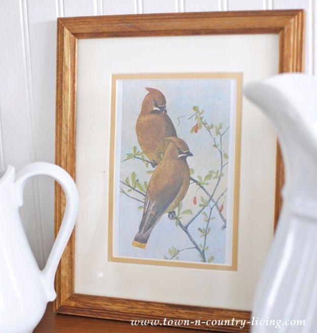 Bird prints vignette free printable, a vintage waxwing plate matted in gold in a wood frame beside a white ironstone pitcher