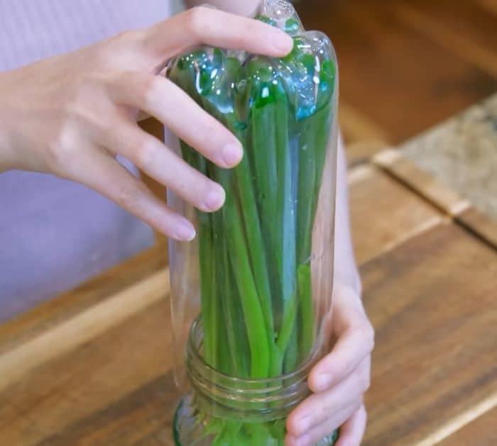 How to Keep Green Onions Fresh