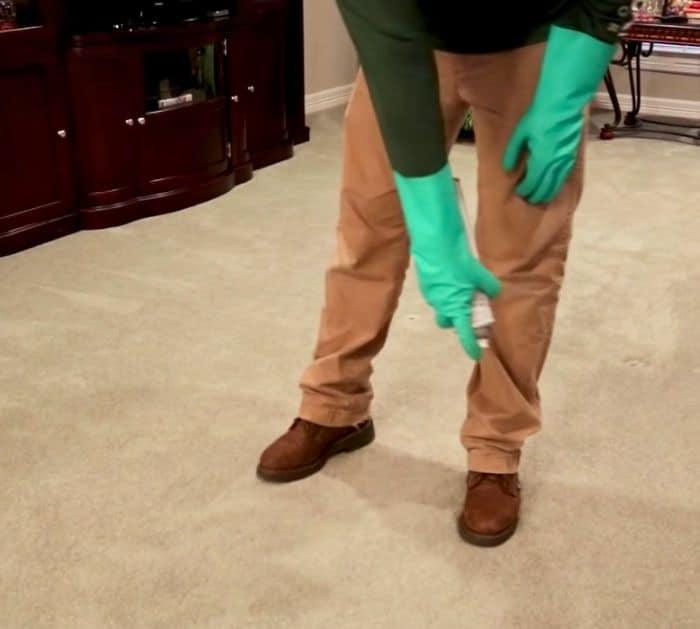 Effective Ways to Get Rid of Fleas