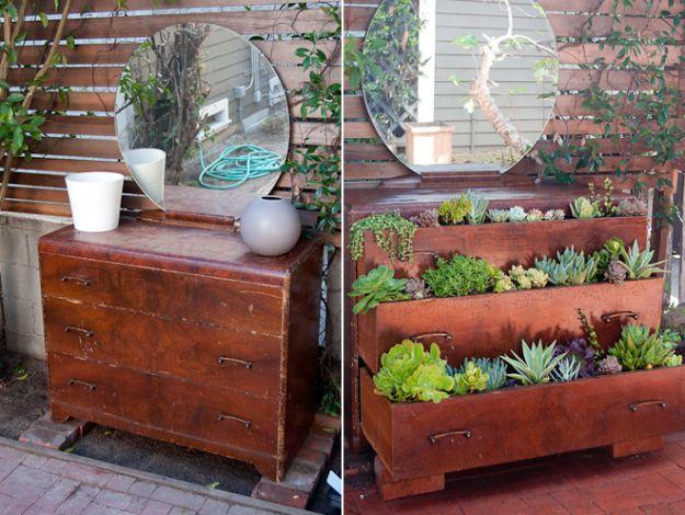 Succulent Dresser, a favorite that keeps coming up again and again on this list and a budget friendly way to update the space
