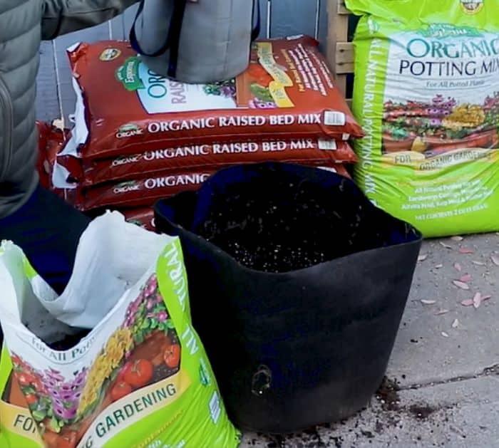 How to Revitalize Old Potting Soil
