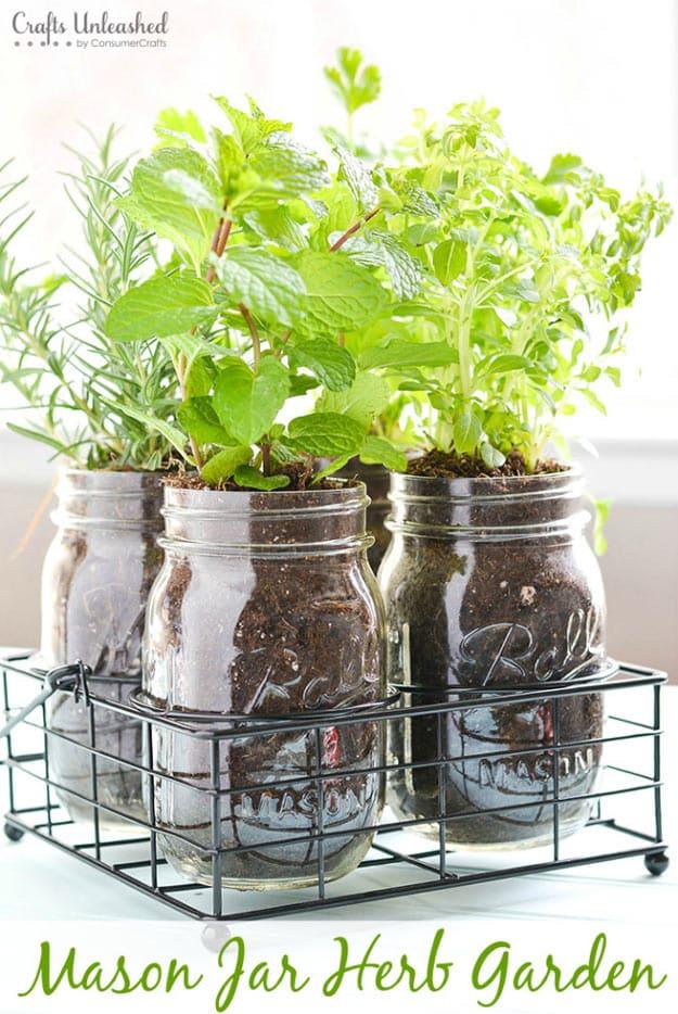 Grow Herbs in A Jar, one worth bookmarking from this list and simple enough for a beginner and useful for a pro