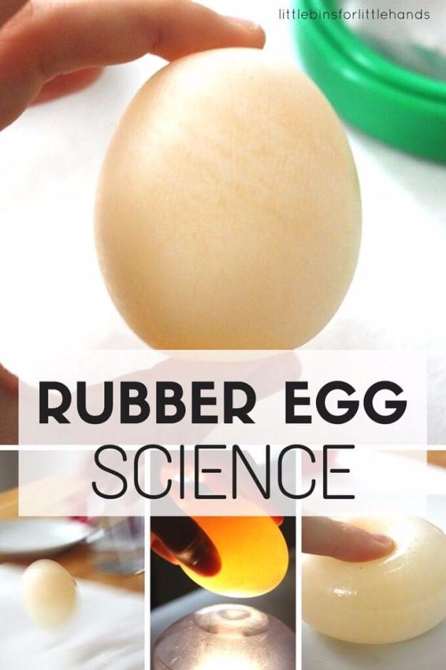 Rubber egg science, a large pale shell-less egg upright, above three panels showing it lit by a flashlight and squeezed