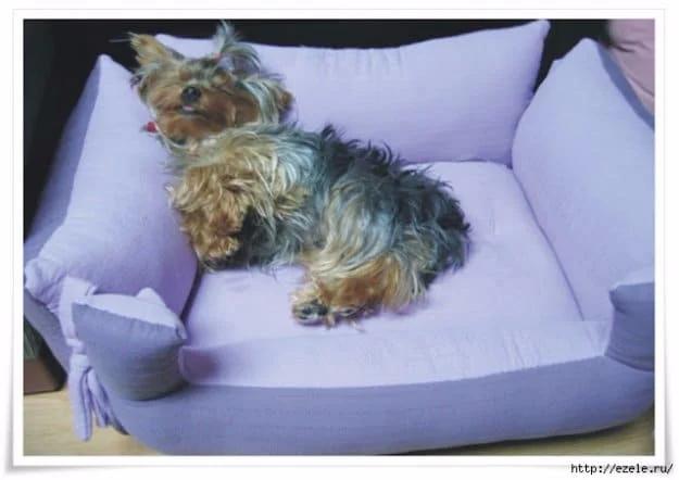 Pillow Bench For Your Furry Friend, forgiving enough for shaky first cuts and a look that outshines anything off a shelf