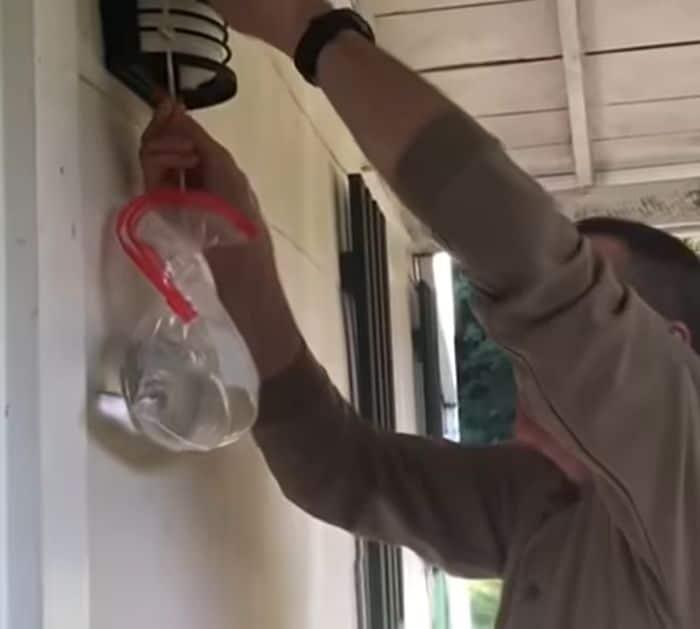 How to Keep Flies Out of Your House