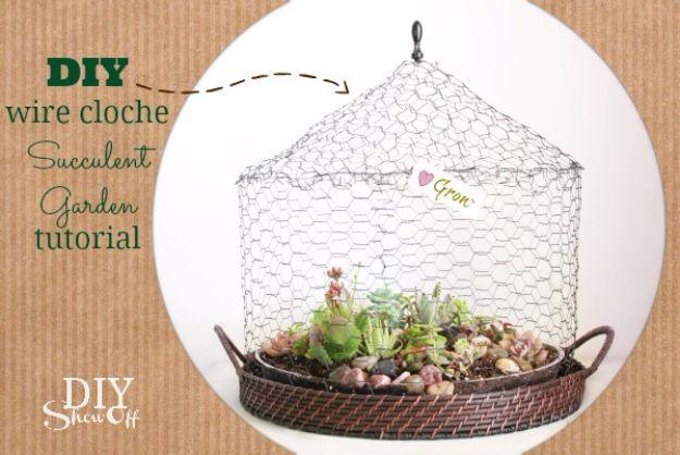 DIY wire cloche terrarium, a chicken wire cloche with a finial over a succulent garden in a round woven serving tray