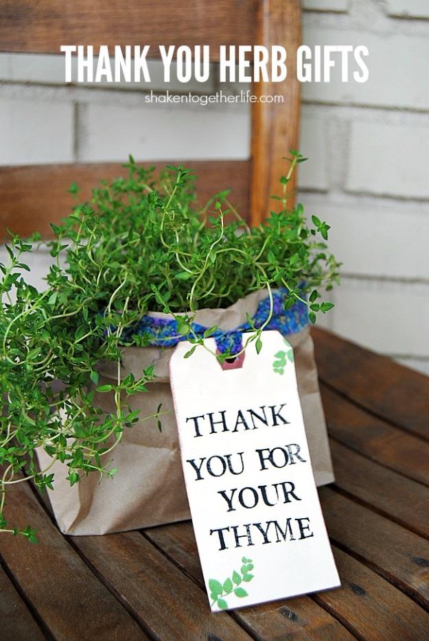 A potted herb labeled with a handwritten thank you tag for a gift that keeps on growing after the office party
