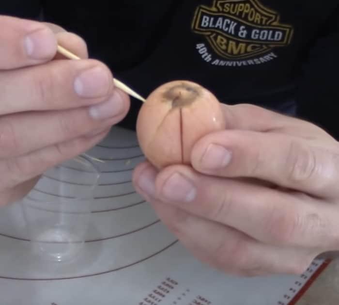 Grow an avocado plant from an avocado seed