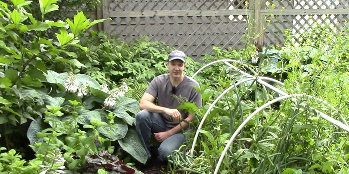 He Gives Us Some Great Spring Gardening Tips That Will Be Helpful In Getting You Started!
