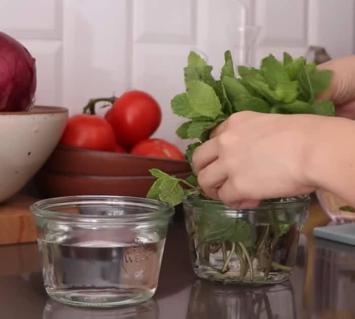 How to Keep Herbs Fresh