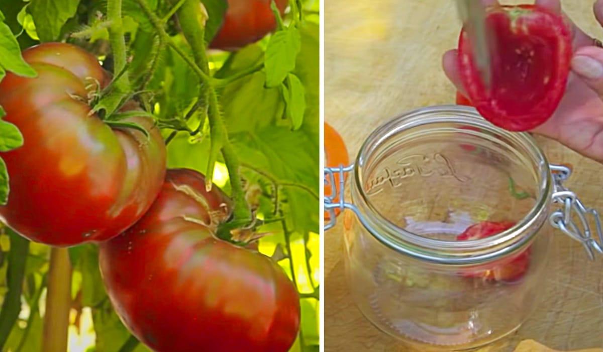 How To Save Seeds At Home
