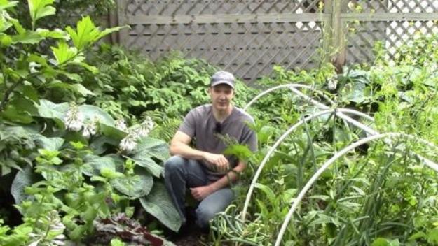 Spring Garden Start Up, simple to repeat in the same spot each spring and results worth bragging about at the next gathering