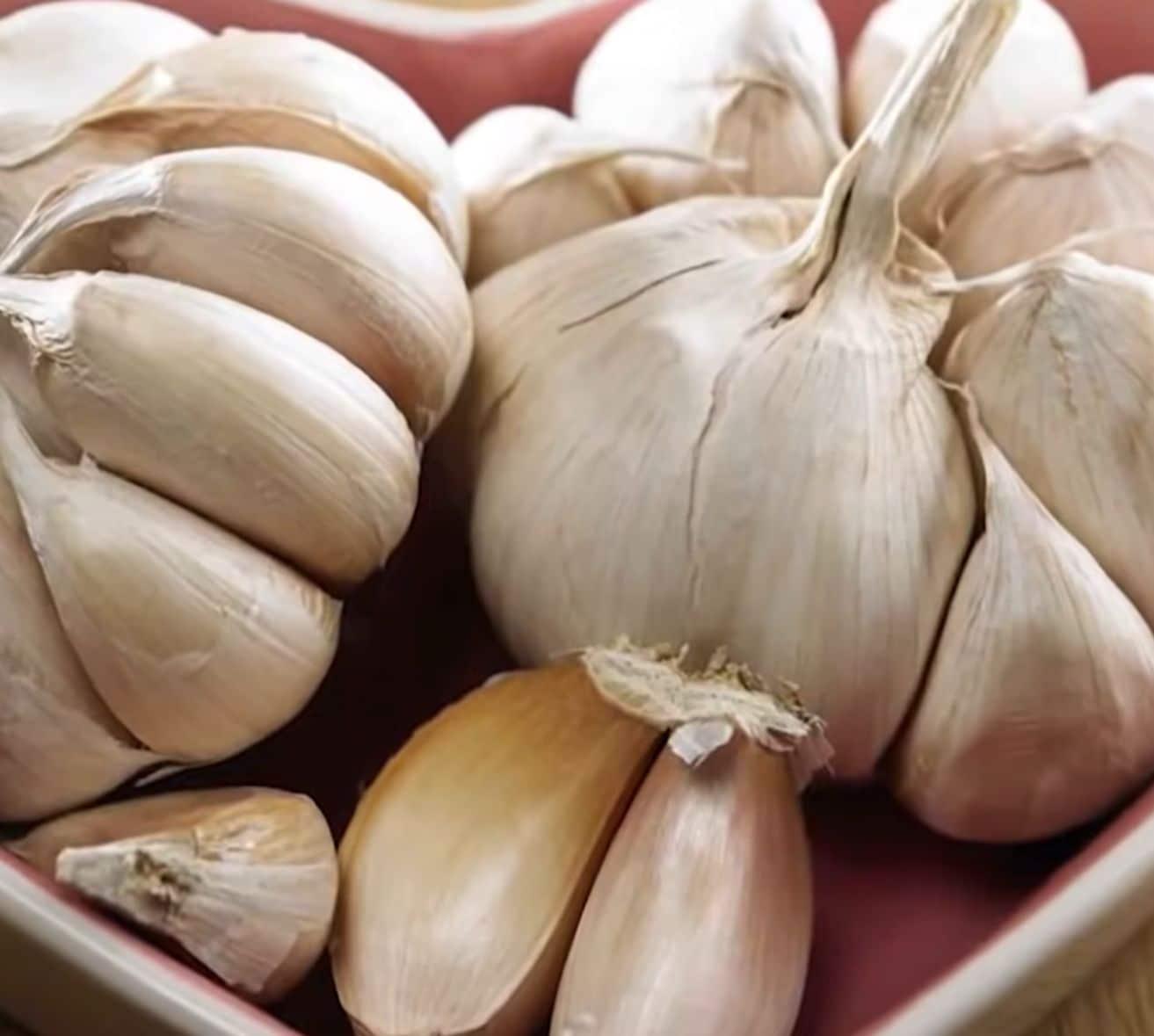 Natural Ways to Get Rid of Bloating Almost Immediately Garlic