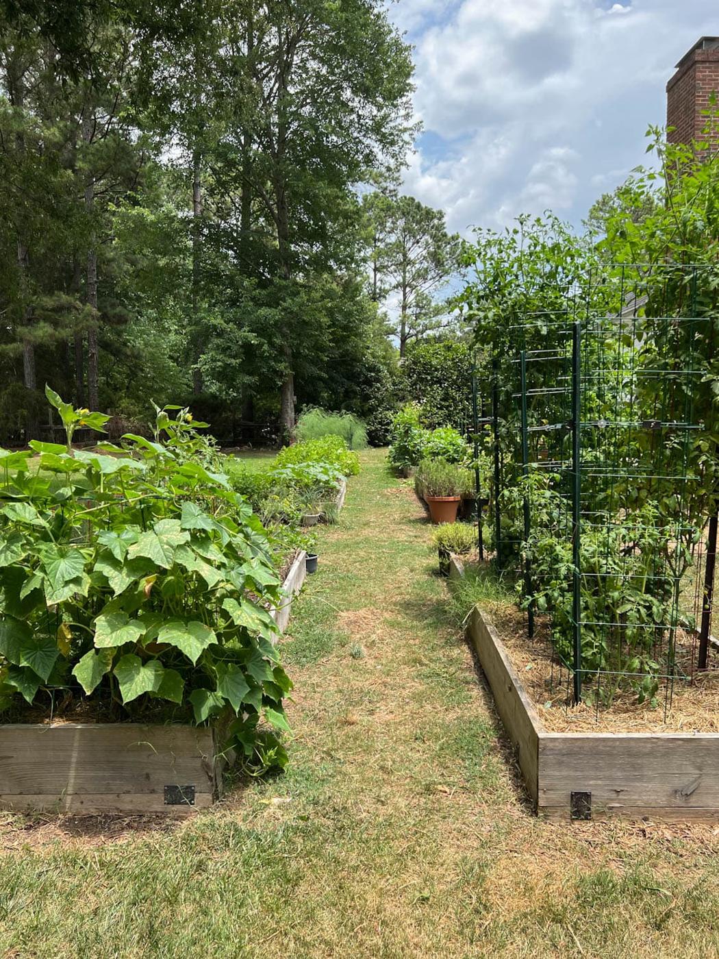Backyard Raised Vegetable Beds, a popular pick from this roundup and a project that comes together in an afternoon