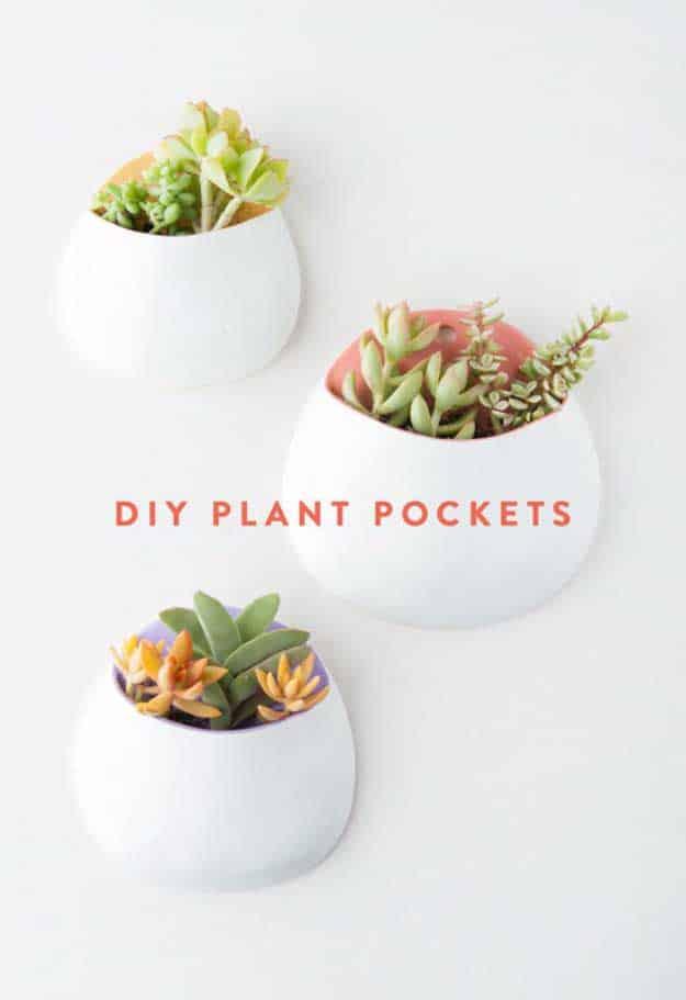 Wall Planters, simple to scale to fit almost any space and a small upgrade with a real visual payoff