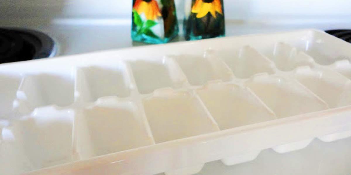 You Won’t Believe What She Makes With This Ice Cube Tray (Watch!)