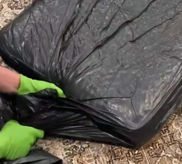 How to Get Smells Out of Your Cushion