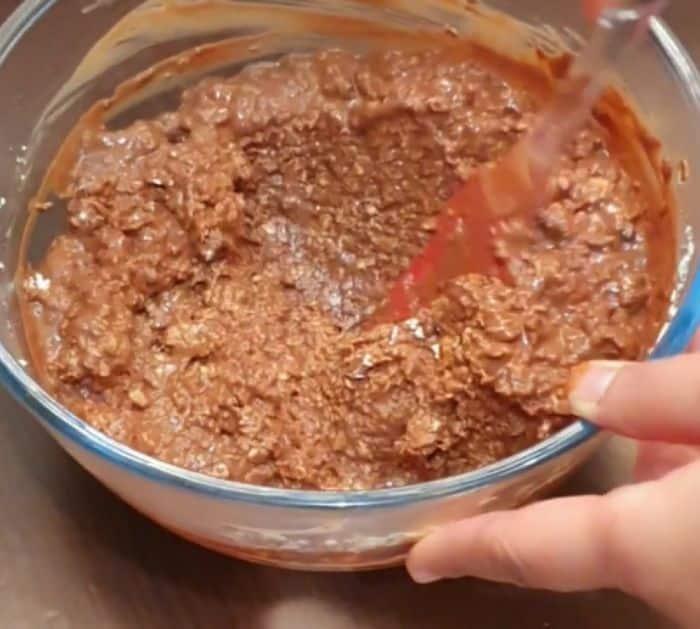 Easy To Make No-Bake Chocolate Oatmeal Cake