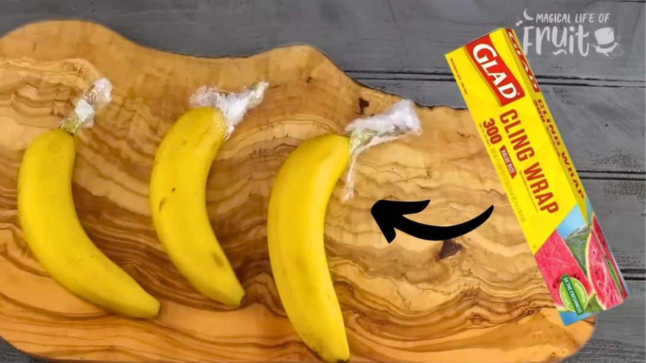 How to Store Bananas The Correct Way