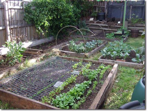 Cheap Raised Garden Bed, a favorite from this collection and an easy weekend project with a big payoff