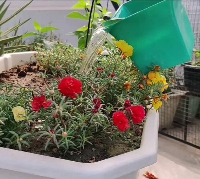 Easy DIY Compost Tutorial