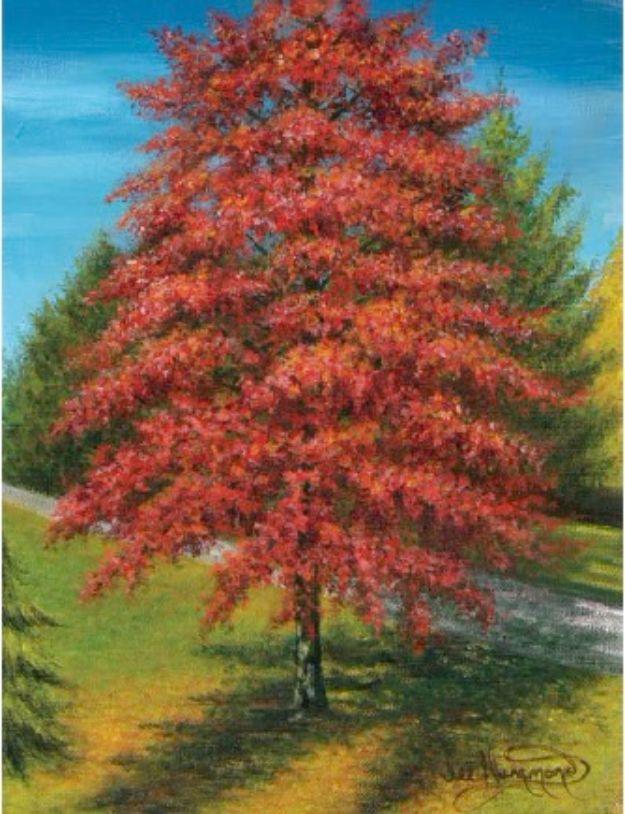 Acrylic Painting Tutorials and Techniques - Paint An Autumn Tree In Acrylic - How To Paint With Acrylic Paint- DIY Acrylic Painting Ideas on Canvas - Make Flowers, Ocean, Sky, Abst