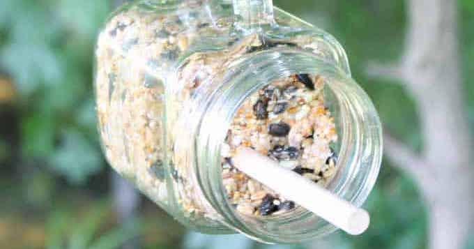 Mason jar bird feeder hanging from a tree branch with seed inside and a metal perch fixed under the lid