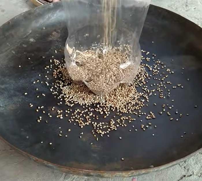 Fill DIY Bird Feeder WIth Food - Bird Feeder