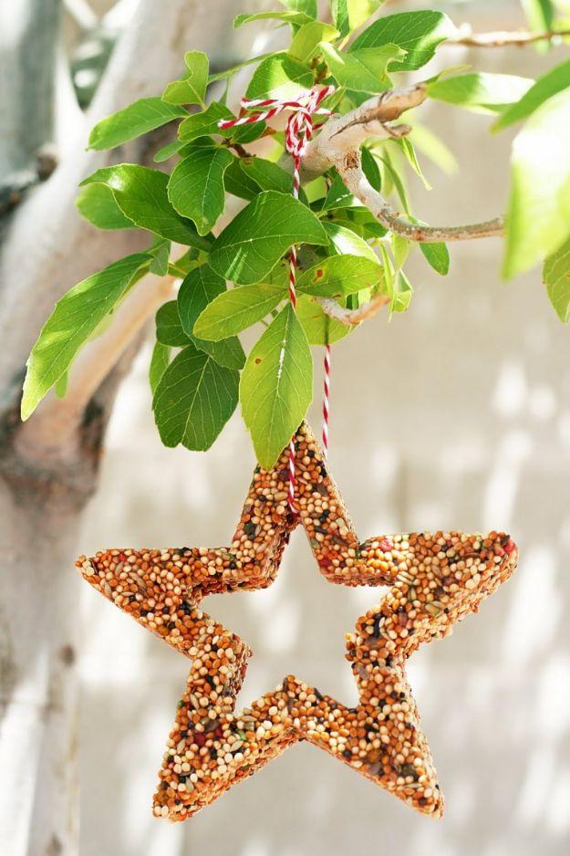 Star shaped birdseed feeder tied with red and white bakers twine, hanging from a leafy branch in bright sun