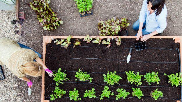 The Ultimate Raised Bed, a raised garden bed idea worth trying this season and a fun project the whole family can help with
