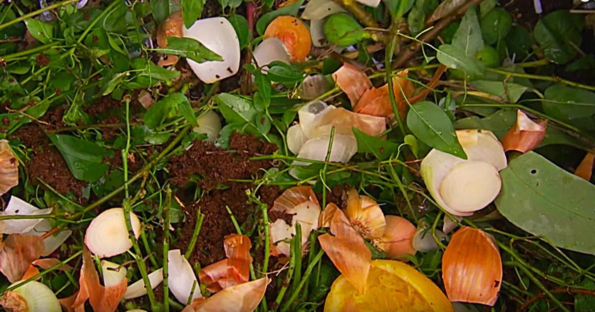How To Make Compost Properly