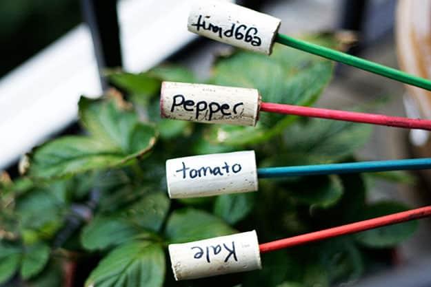Easy Wine Cork Crafts for Garden Projects - DIY Wine Cork Plant Markers - DIY Projects & Crafts by Sueeye #crafts
