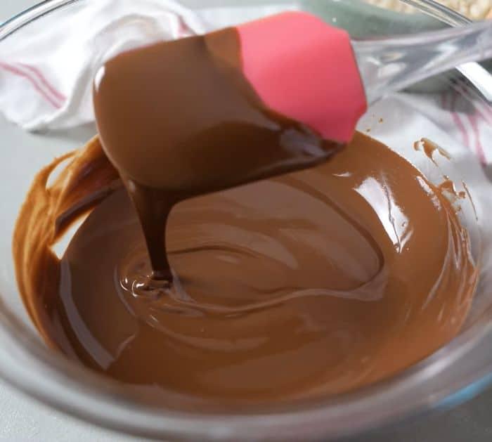Chocolate Covered Rice Krispies Ingredients