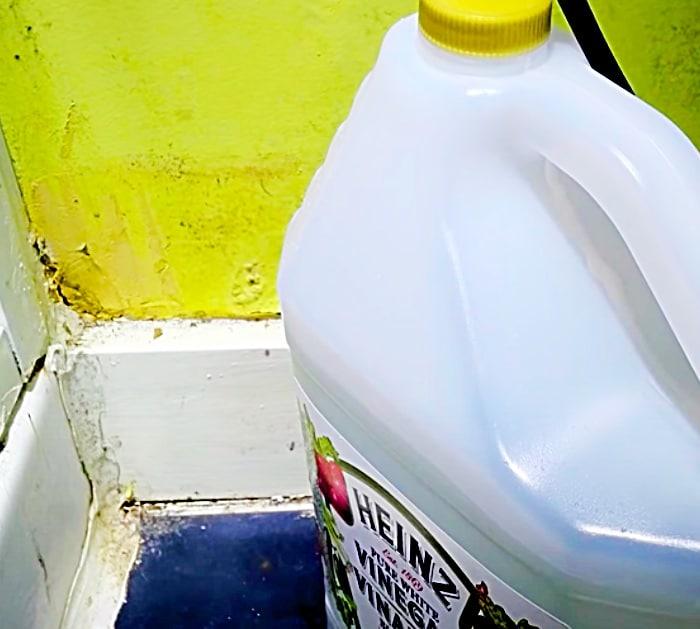 Use Vinegar To Kill Mold And Mildew