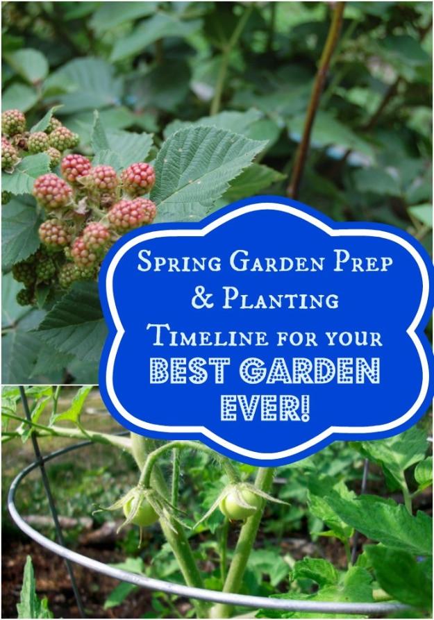 Spring Garden Prep, simple enough for a first time gardener and growth that shows up faster than expected