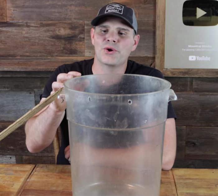 Easy Mouse Trap Tricks and Hacks