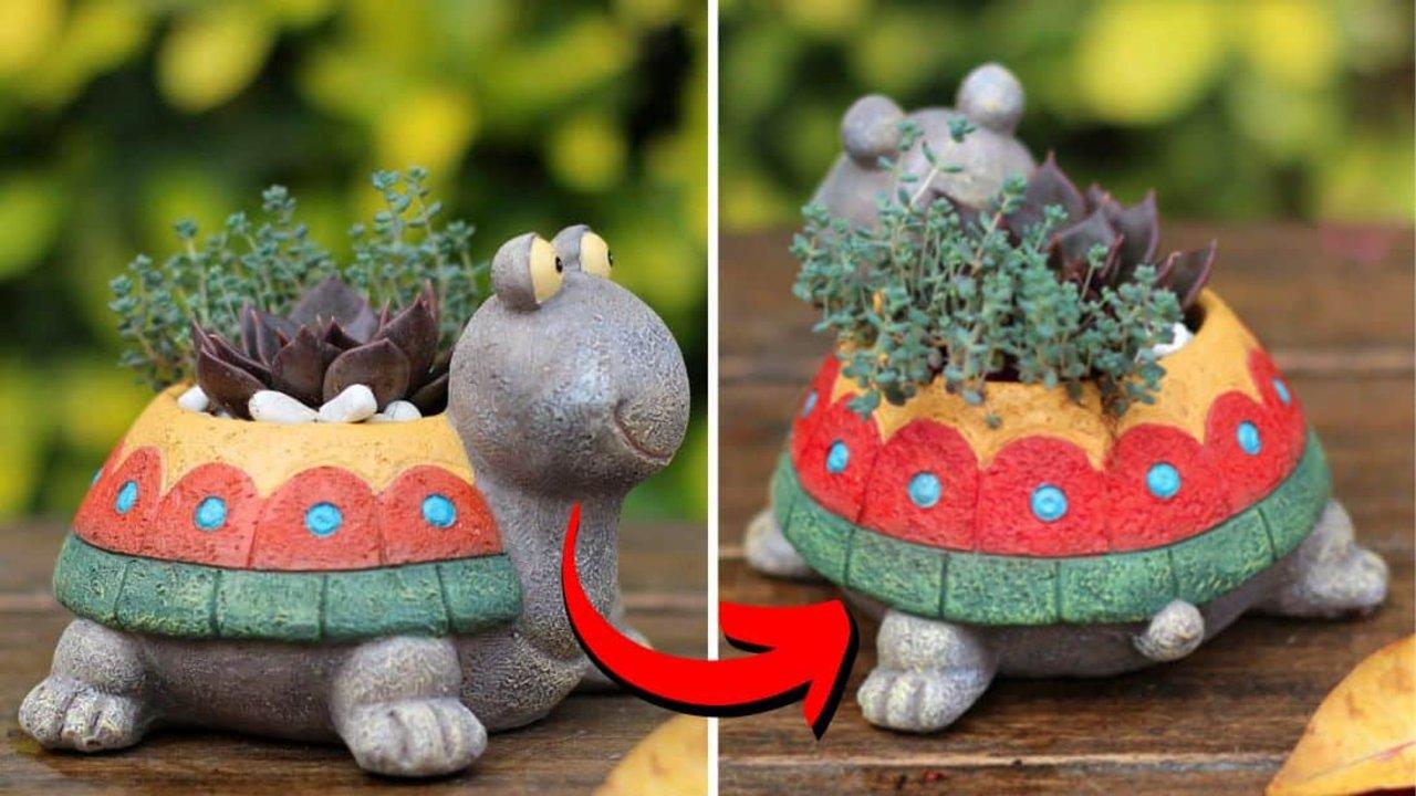 How to Make a DIY Turtle Planter Using an Egg Carton