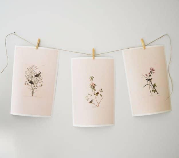 DIY Renters Decor Ideas - Botanical Print and Clothespin Gallery Wall - Cool DIY Projects for Those Renting Aparments, Condos or Dorm Rooms - Easy Temporary Wall Art, Contact Paper