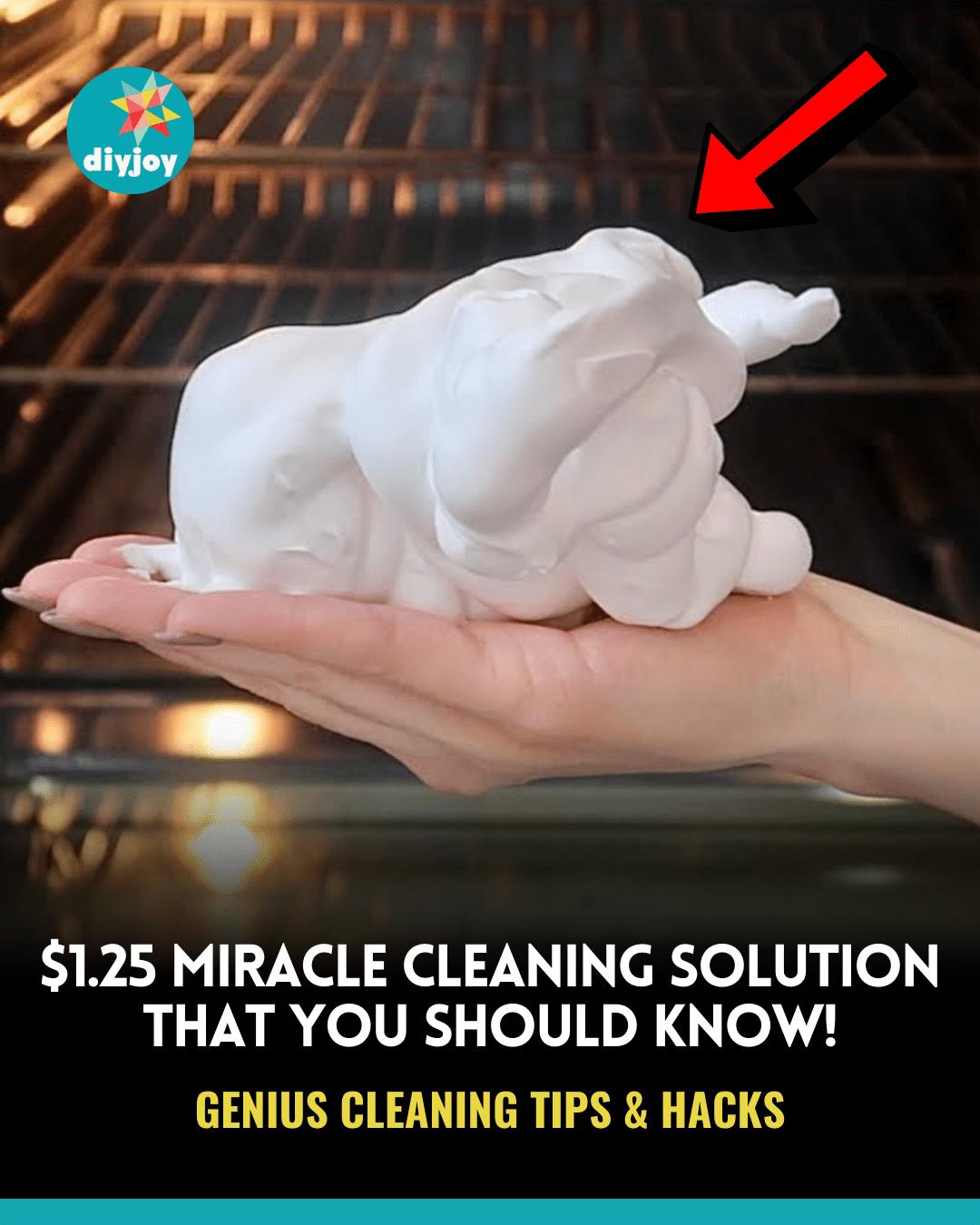 $1.25 Miracle Cleaning Hacks That You Should Know!