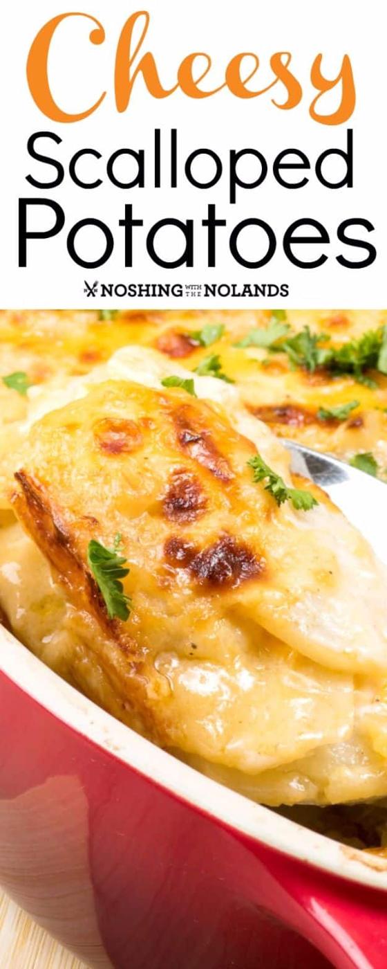 Cheesy scalloped potatoes graphic over a red baking dish of browned layered potato slices and parsley