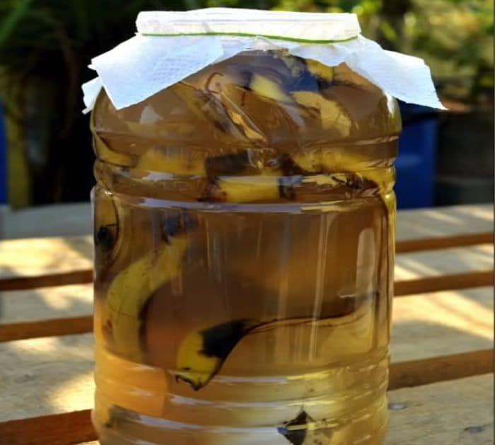 How to Make Banana peel vinegar