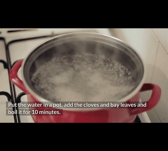 Effective Homemade Bug Repellant Spray Mosquitoes