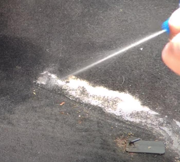 Clean The Winter Salt Stain On Your Car's Carpet - All Natural Way