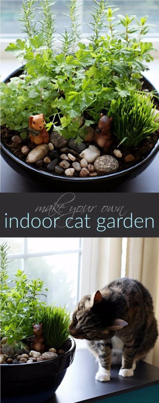Make Your Own Cat Indoor Garden, simple enough to try with stuff already on hand and the fix worth remembering